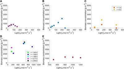 Microalgae growth in ultra-thin steady-state continuous photobioreactors: assessing self-shading effects